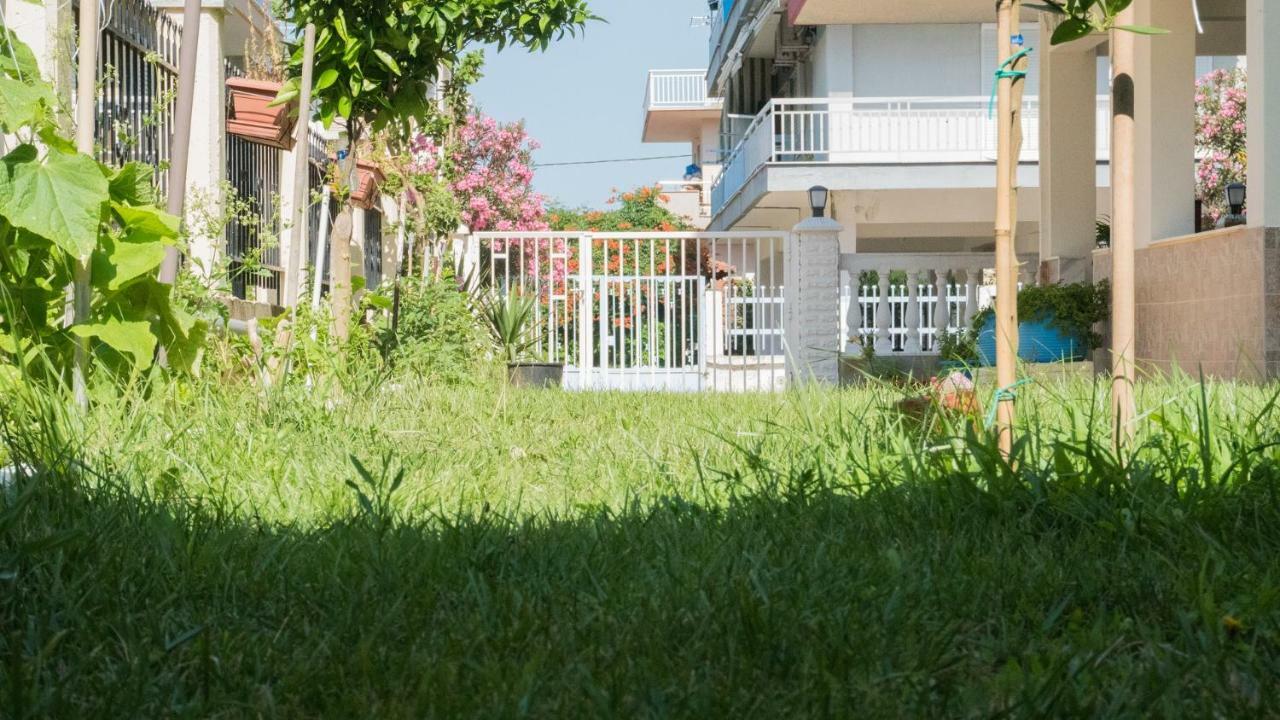 Niki Apartments パラリア・ディオニショウ エクステリア 写真