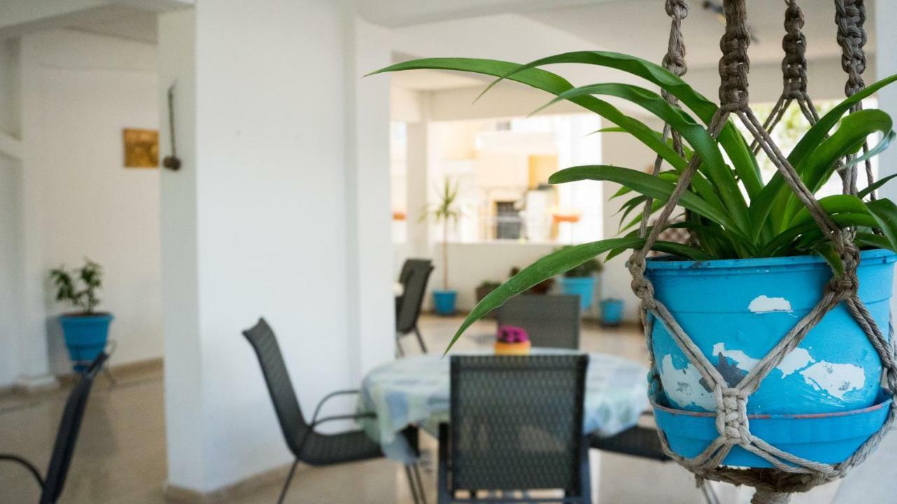 Niki Apartments パラリア・ディオニショウ エクステリア 写真